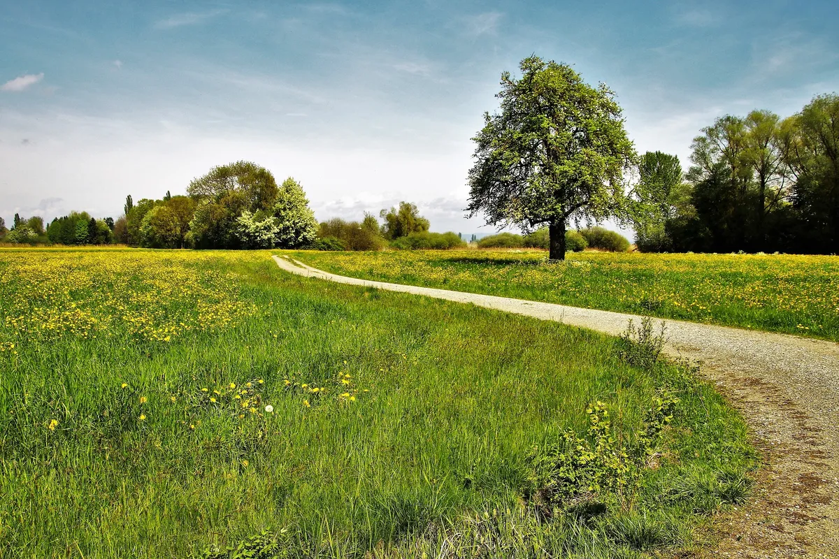 Natuur