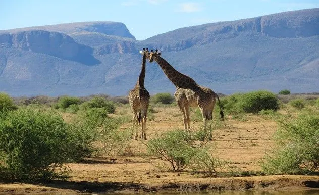 leadership-trails-zuid-afrika-nov26