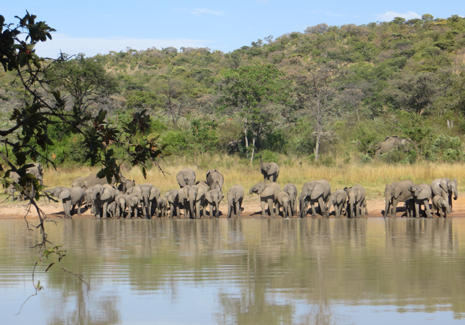 leadership-trails-zuid-afrika-apr26