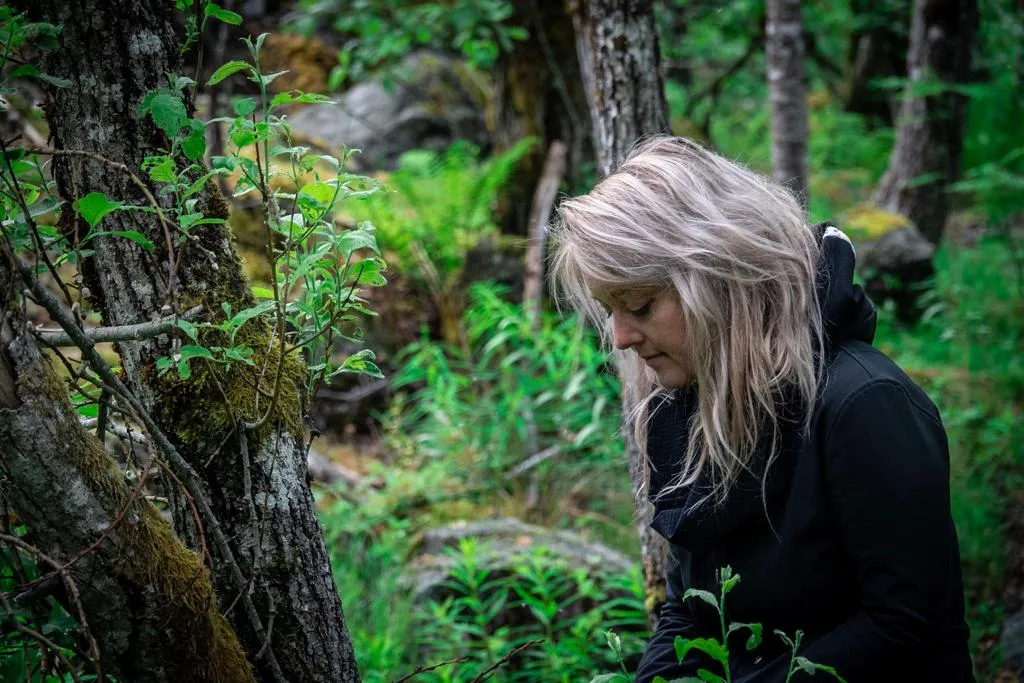 Bosbaden: Herstel, rust en veerkracht uit het bos